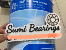 Mỡ bò chịu nhiệt độ cao chính hãng SKF LGHP 2